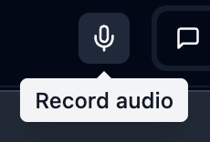 Record audio button
